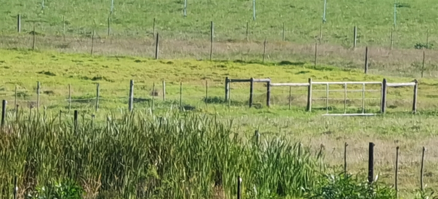 0 Bedroom Property for Sale in St Francis Bay Eastern Cape